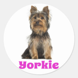 Love Yorkshire Terrier Puppy Dog Sticker / Seals
