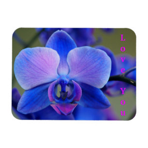 Love You Blue and Soft Pink Orchid Magnet