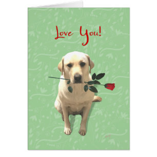 Love You Card, Retriever Dog with Rose, Adorable