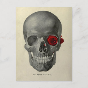 Love You Forever - skull and rose Postcard