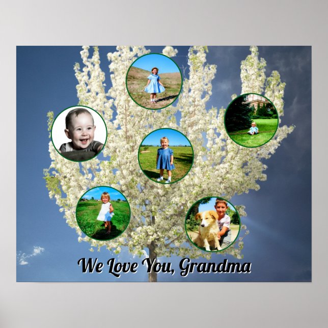 Love You Grandma White Blossoming Tree Six Photos  Poster (Front)