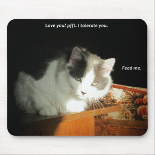 Love you? I Tolerate You Mouse Mat