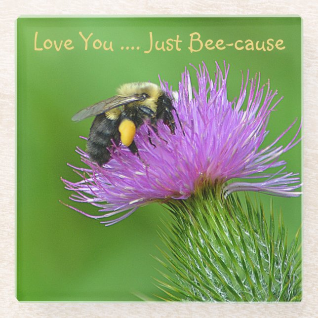 Love You Just Bee-cause Glass Coaster (Front)