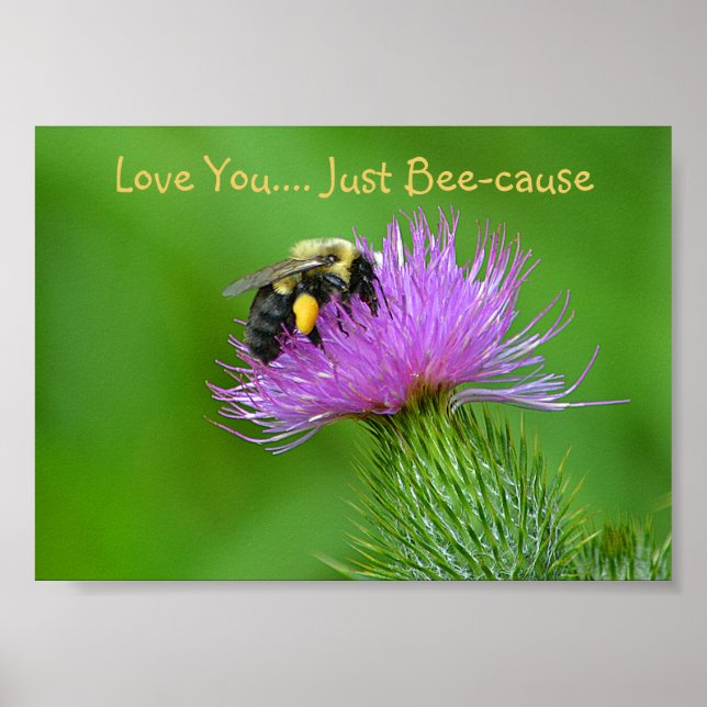 Love You Just Bee-cause Poster (Front)
