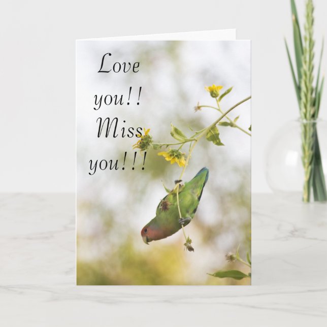 Love you miss you Love bird Card (Front)