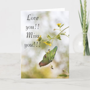 Love you miss you Love bird Card