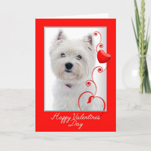 Love You More! Westie Valentine Holiday Card