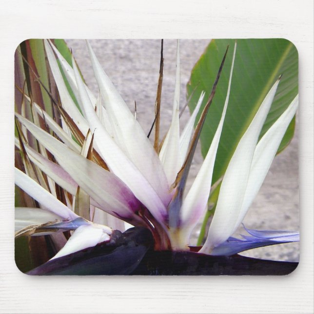 Love You_ Mouse Mat (Front)