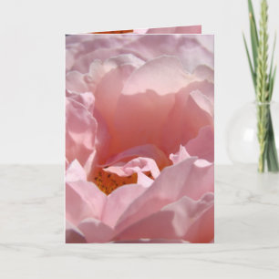 Love You Mum! Greeting Card Pink Rose Flower