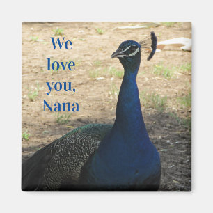 Love You Nana Blue Bird Feathers Photo Peacock Magnet