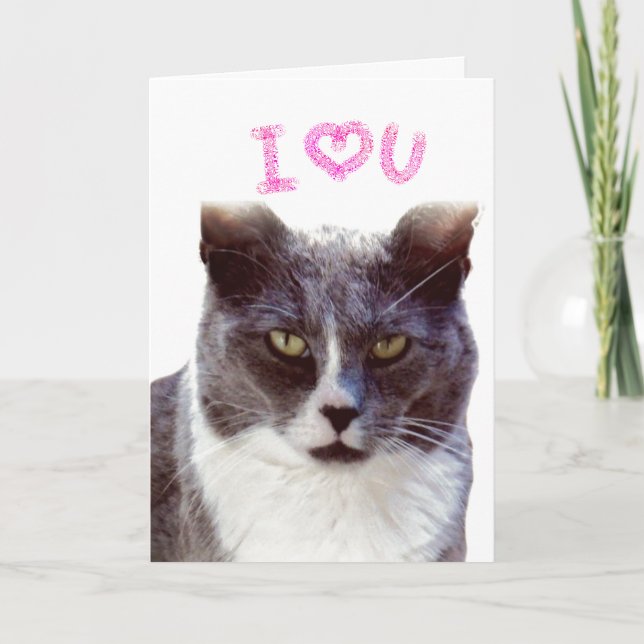 Love You Valentine From Your Cat Greeting Card (Front)