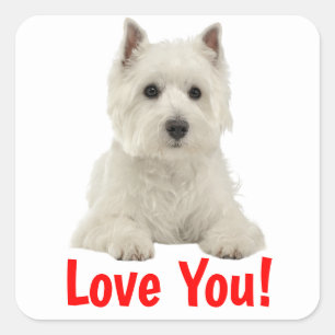 Love You West Highland Terrier Puppy Dog Square Sticker