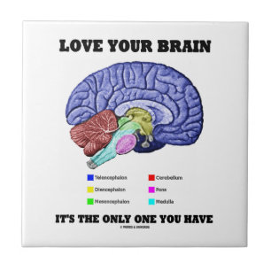 Love Your Brain It's The Only One You Have (Brain) Tile