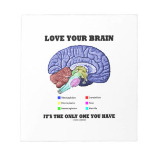 Love Your Brain It's The Only One You Have Notepad