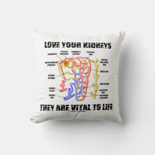 Love Your Kidneys They Are Vital To Life Nephron Cushion
