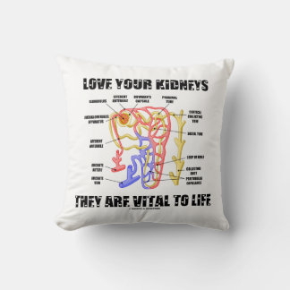 Love Your Kidneys They Are Vital To Life Nephron Cushion
