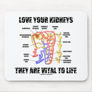 Love Your Kidneys They Are Vital To Life (Nephron) Mouse Mat