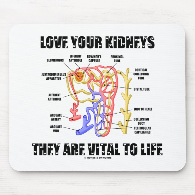 Love Your Kidneys They Are Vital To Life (Nephron) Mouse Mat (Front)