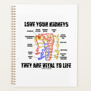 Love Your Kidneys They Are Vital To Life Nephron Planner