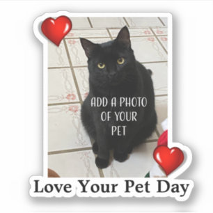 Love Your Pet Day