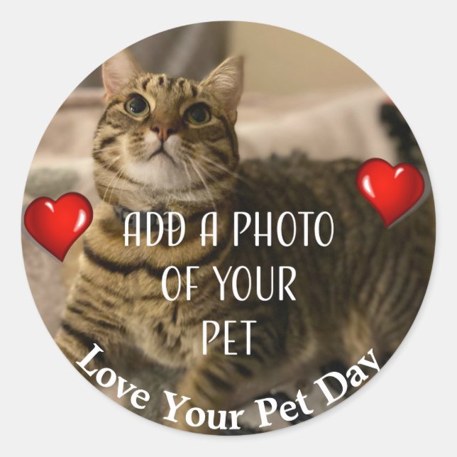 Love Your Pet Day Classic Round Sticker (Front)