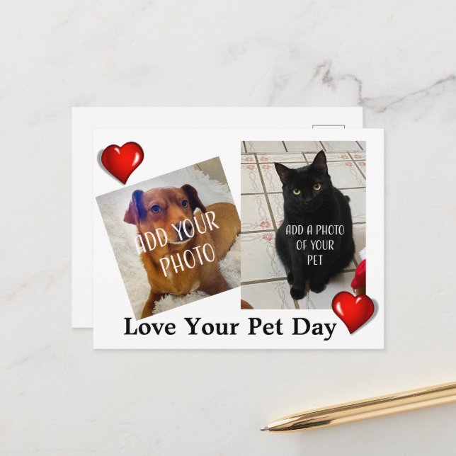 Love Your Pet Day Postcard (Front/Back In Situ)