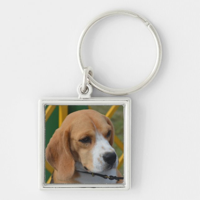 Loveable Beagle Key Ring (Front)