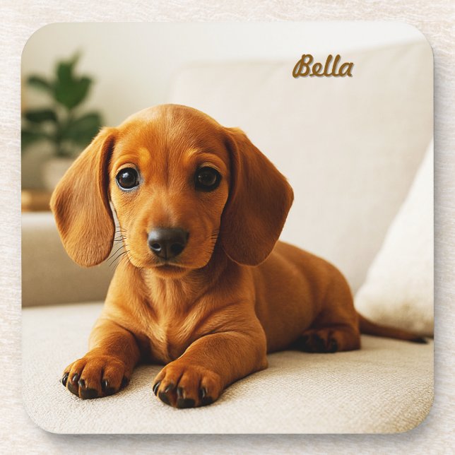 Loveable Dachshund Personalised Coaster Set (Front)