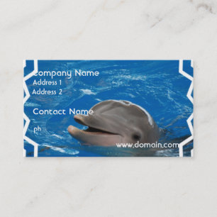 Loveable Dolphin Business Card