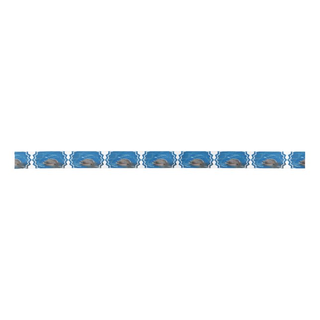 Loveable Dolphin Satin Ribbon (Front)