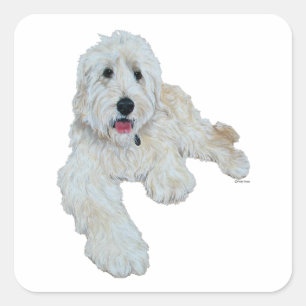 Loveable Goldendoodle Square Sticker