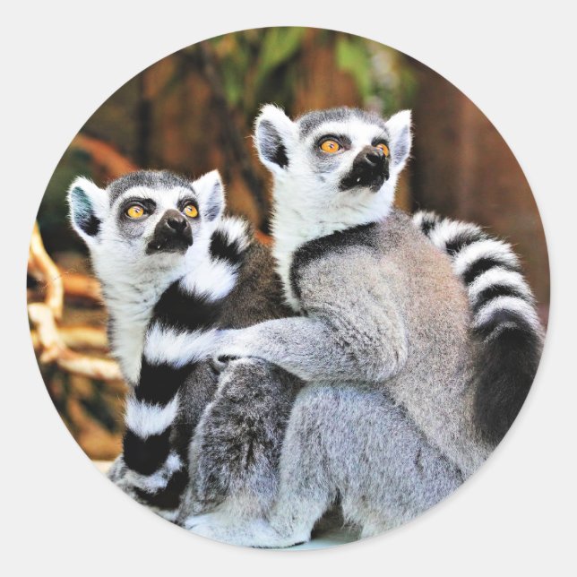 Loveable Lemurs Classic Round Sticker (Front)