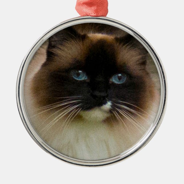 Loveable Ragdoll Cat Ornament (Front)