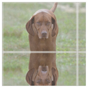 Loveable Vizsla Fabric