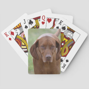 Loveable Vizsla Playing Cards