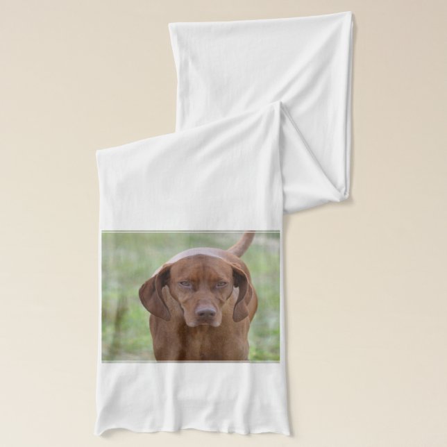 Loveable Vizsla Scarf (Left)