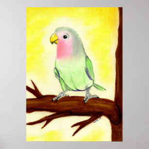 Lovebird Bird Portrait Poster