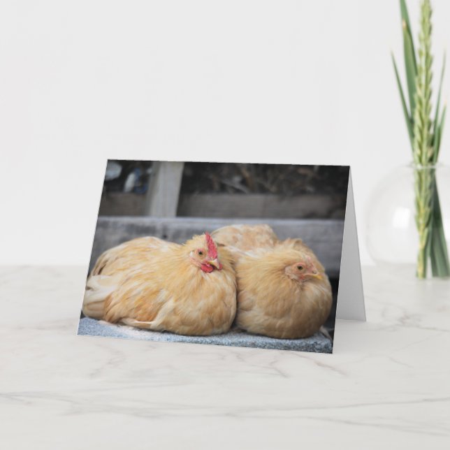 Lovebird Chickens Greeting Card (Front)