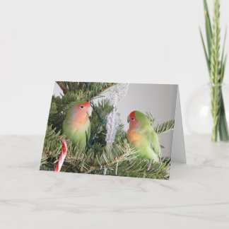 Lovebird Christmas Card