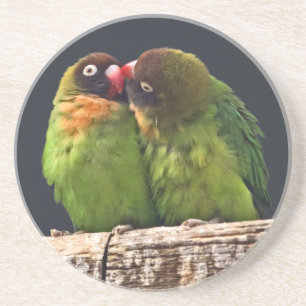 Lovebird Kiss Coaster