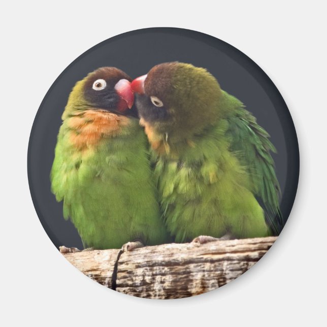 Lovebird Kiss Magner Magnet (Front)