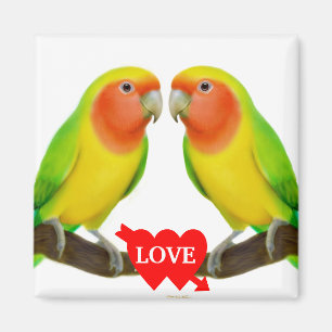 Lovebird Love Magnet