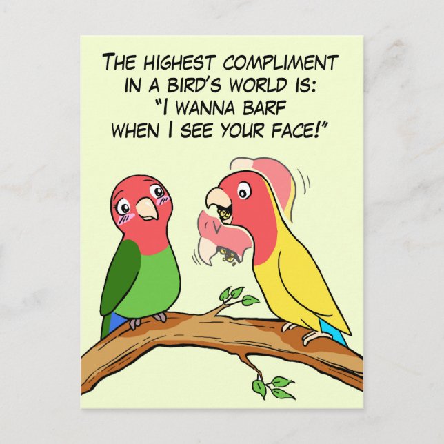 Lovebird parrot and bird way telling i love you postcard (Front)