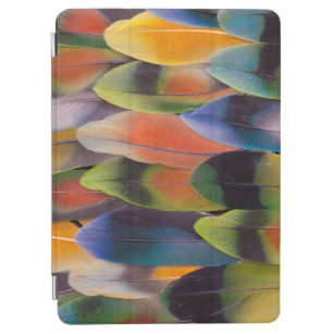 Lovebird Tail Feathers Abstract iPad Air Cover