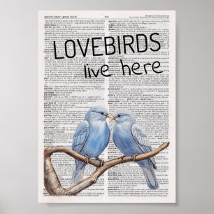 Lovebirds live here poster