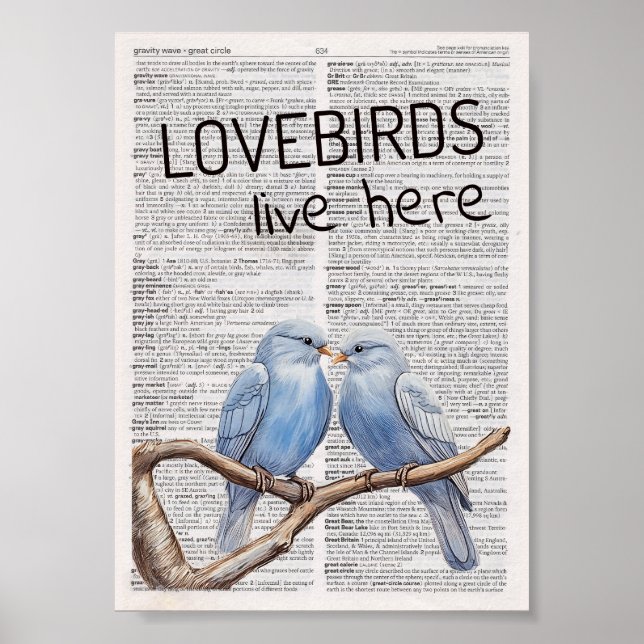 Lovebirds live here poster (Front)