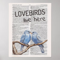 Lovebirds live here