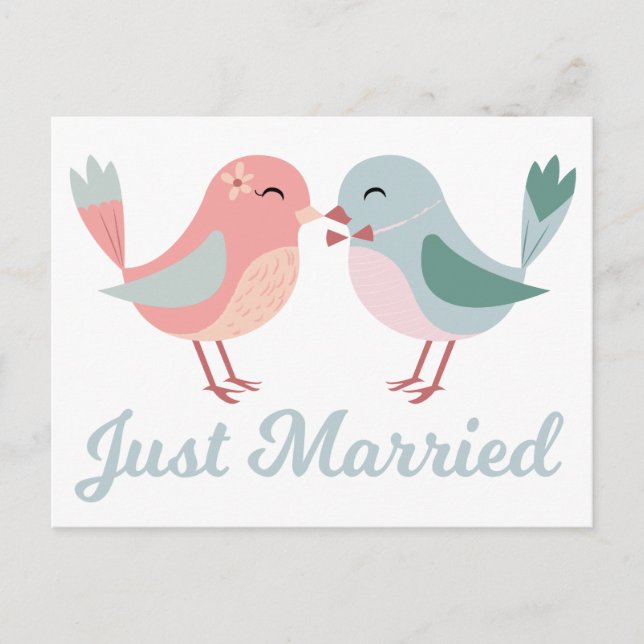 Lovebirds Pink & Blue Just Married Wedding Announcement Postcard (Front)