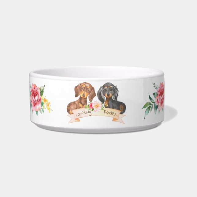 Lovebug Doxies 2022 Logo Bowl (Front)