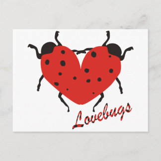 Lovebugs Postcard